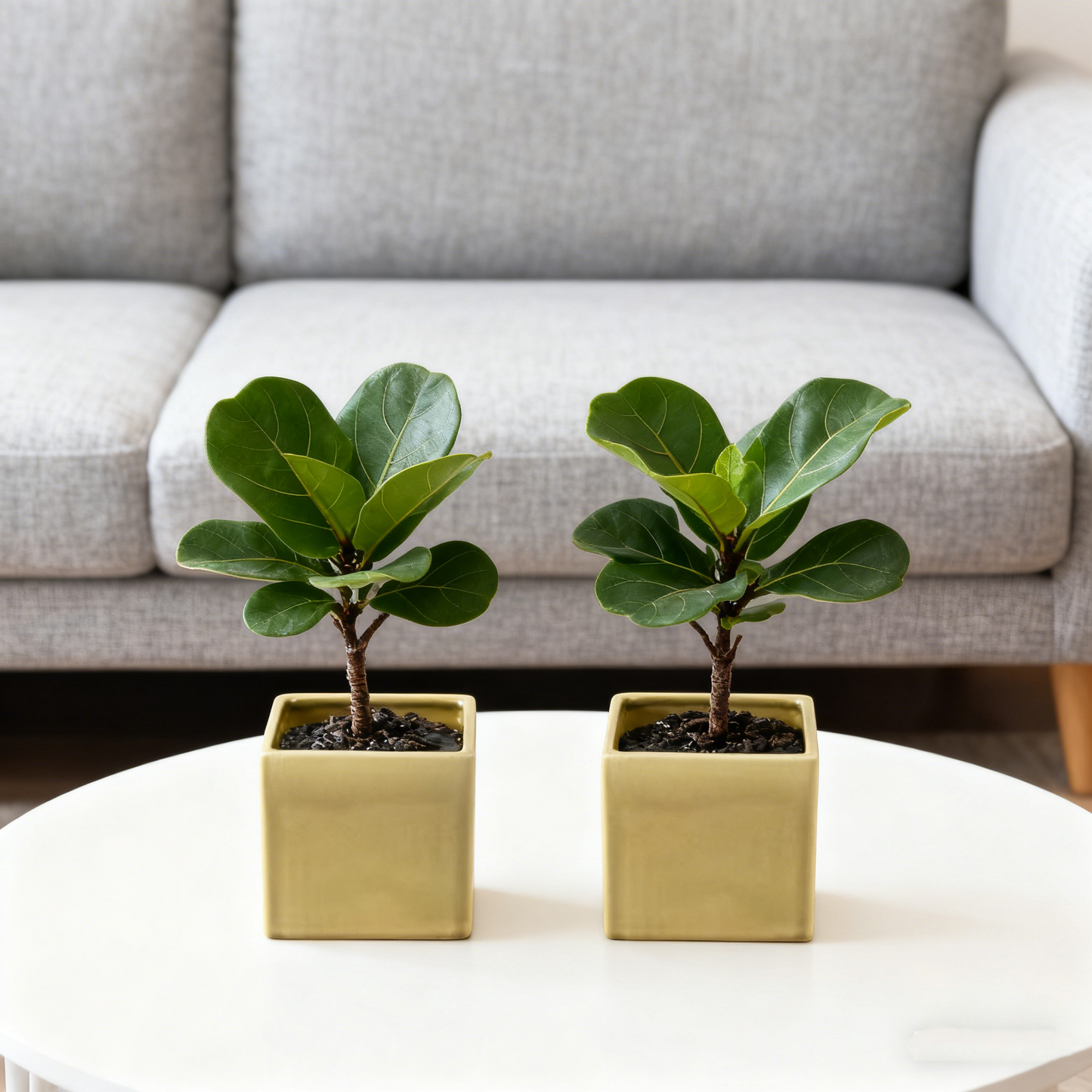 Matte Gold Square Ceramic Decor Pot