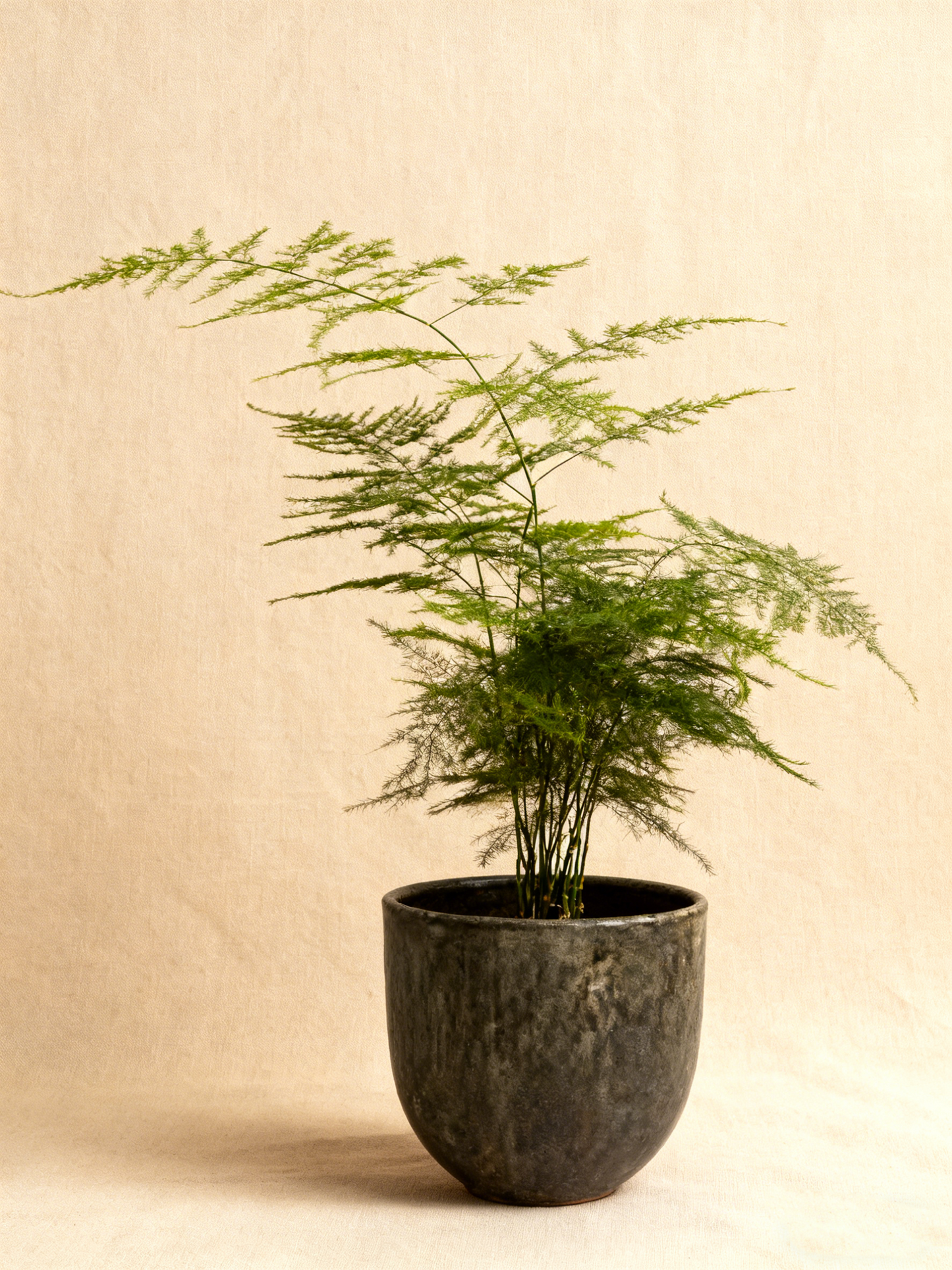 Neutral Toned Textured Ceramic Decor Pot