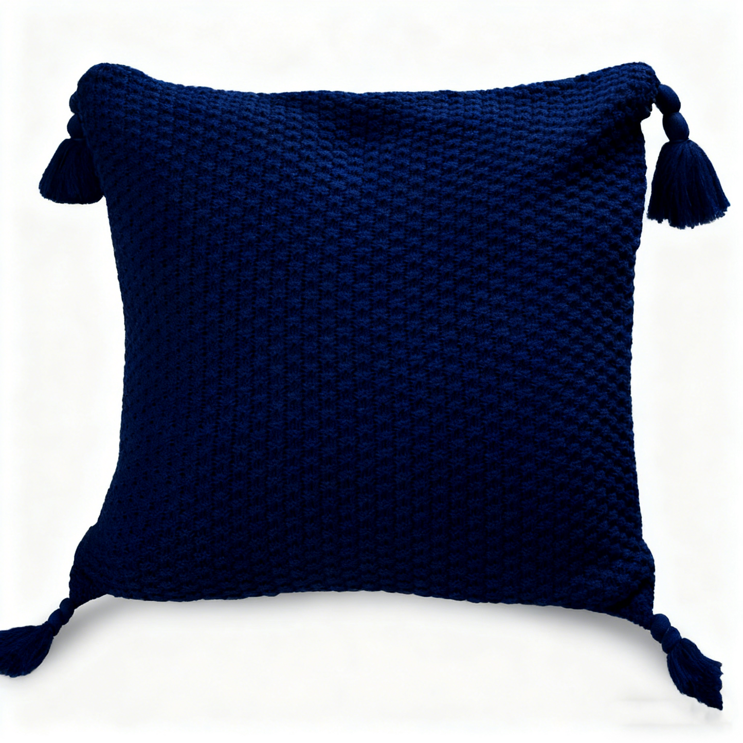 Boho Elegant Tasseled Corners Cushion