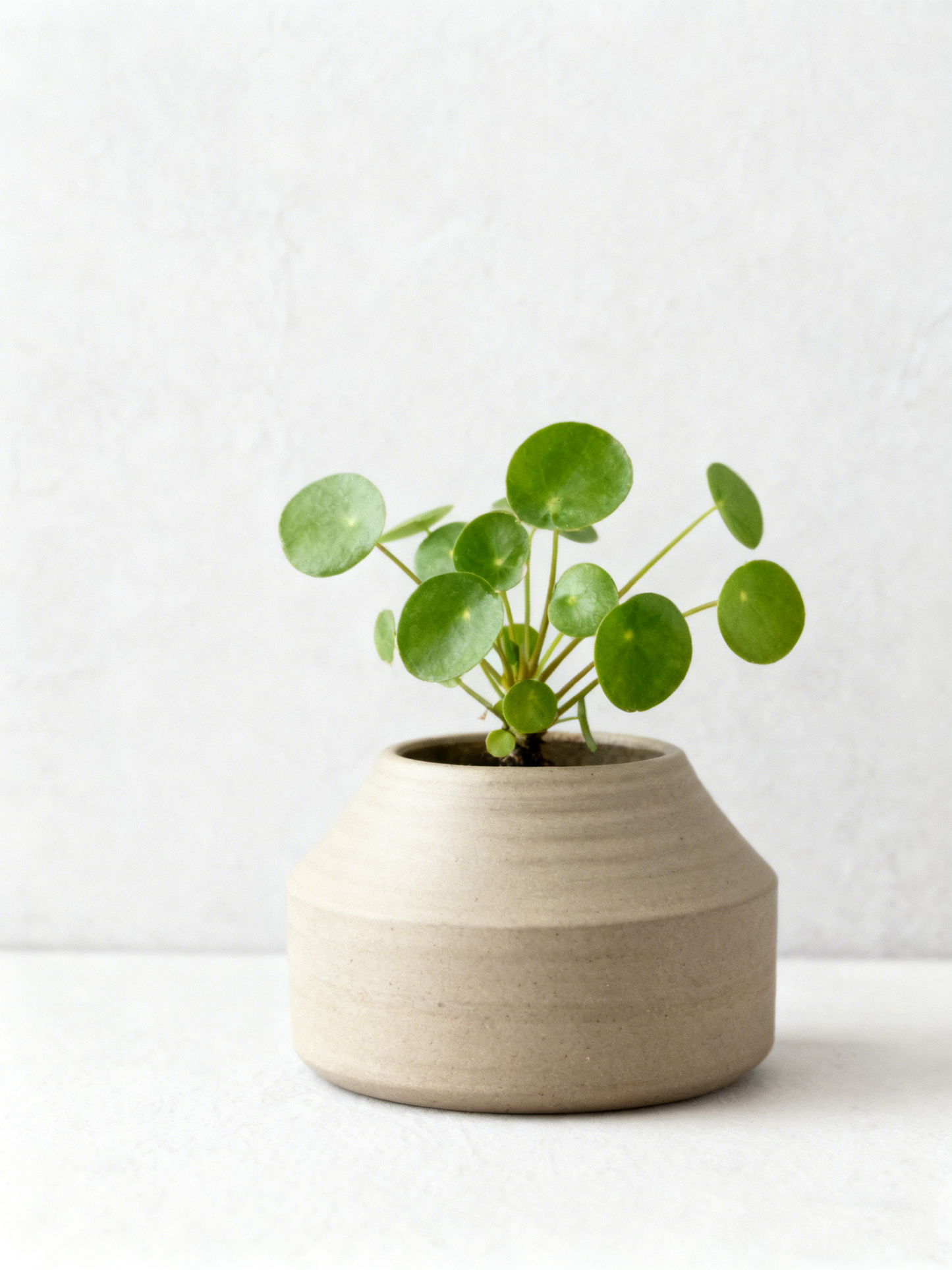 Textured Cone Shaped Ceramic Decor Pot
