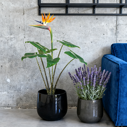Minimalist Dark Ceramic Decor Vase
