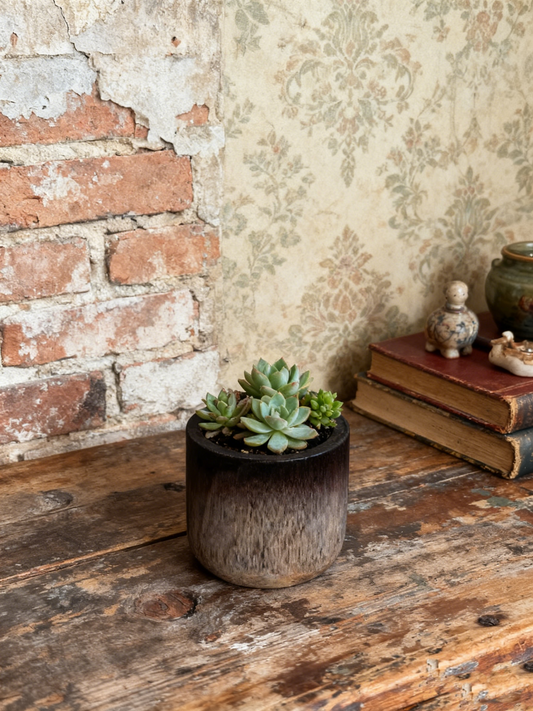 Rustic Natural Wood Decor Pot