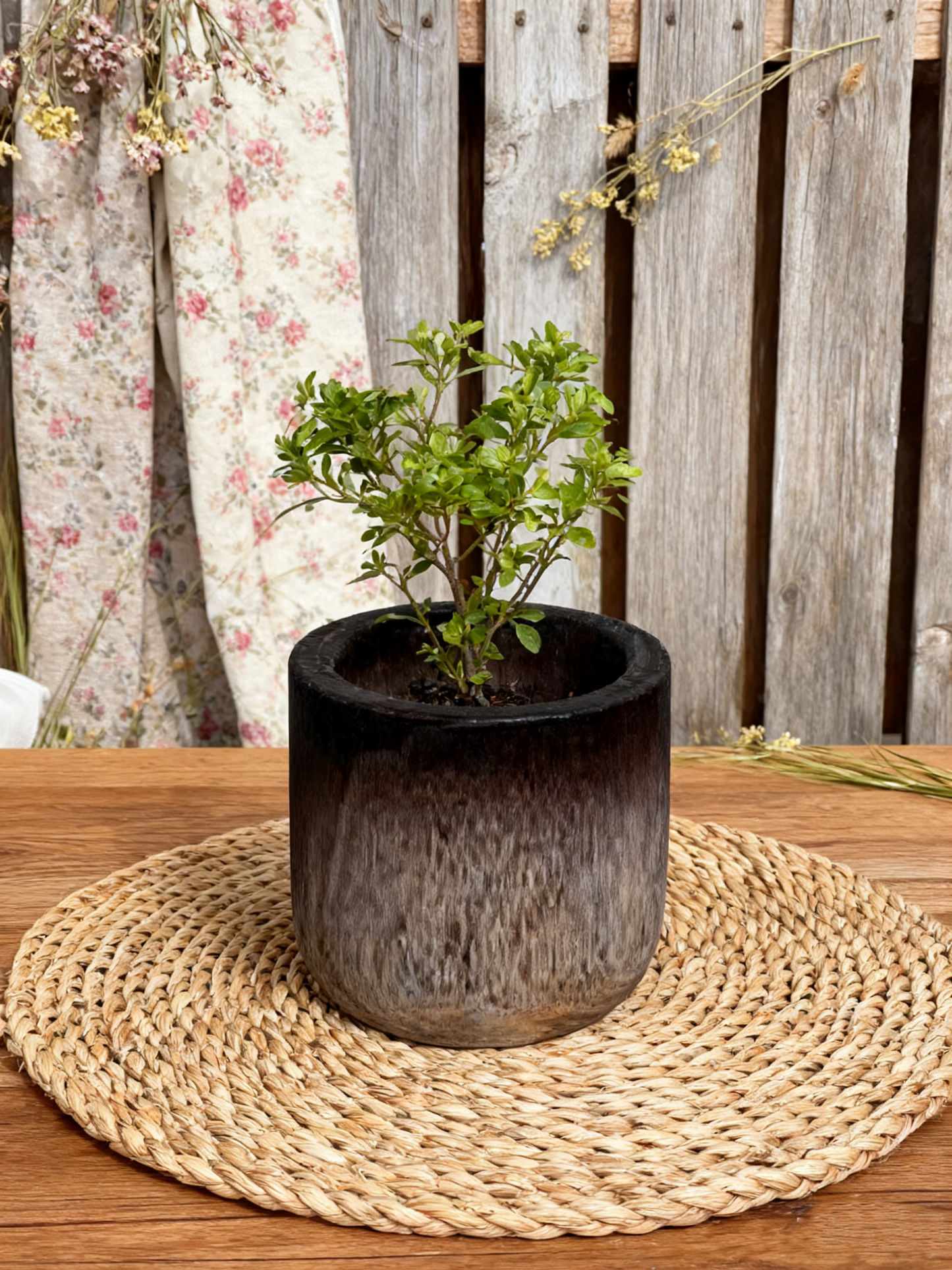 Rustic Natural Wood Decor Pot