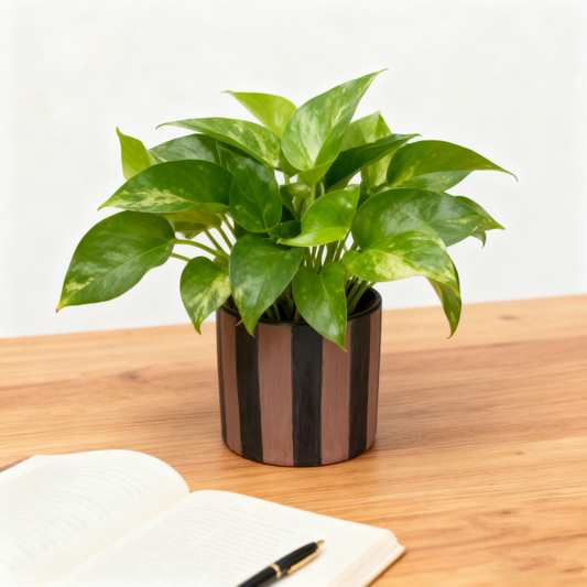 Artistic Striped Ceramic Decor Pot
