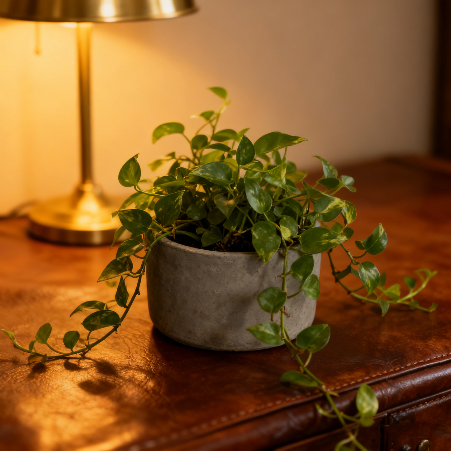 Elegant Concrete Round Decor Pot